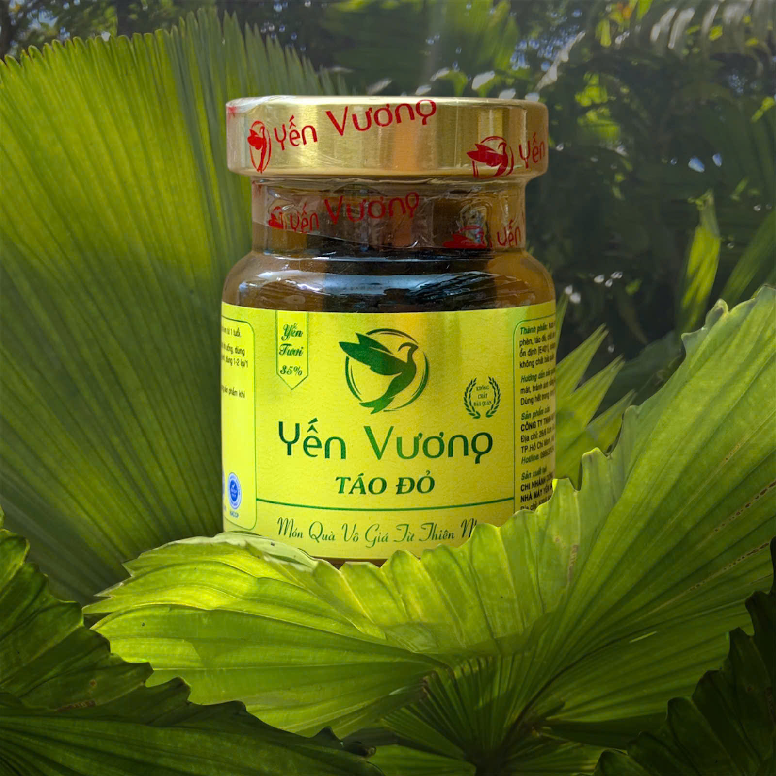 Hũ yến Vương 70ml Táo Đỏ